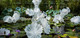 Dale Chihuly Blog Image 2